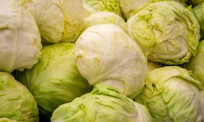 Fototapeta premium fresh green cabbages stacked together