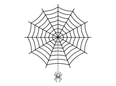 Halloween Spider Web with Hanging Spider Isolated on White Background &ndash; Minimal Black Line Vector Illustration