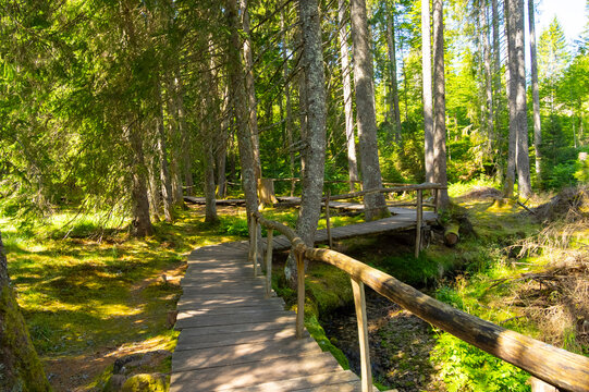 Zauberwaldpfad in Bernau im Schwarzwald