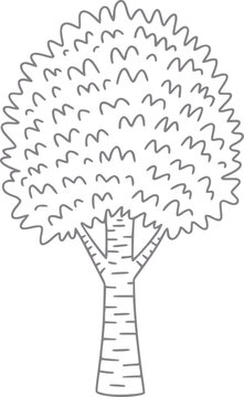 Dibujo simple a mano de un &aacute;rbol de hoja caduca con un tronco texturizado y un contorno de copa frondosa redondeada