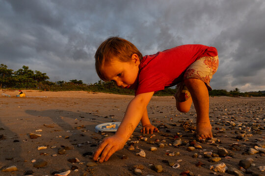 Little boy collecting shells on a beach at sunset