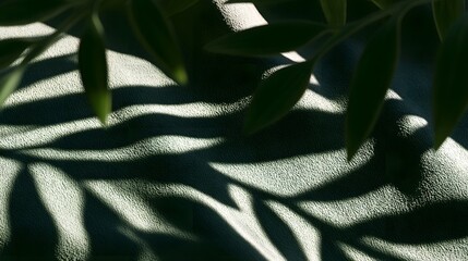 Obraz premium Leafy branches cast intricate shadows on a textured green fabric surface under soft natural lighting