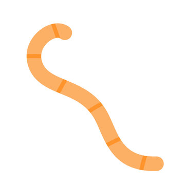 Cute cartoon earthworm vector illustration isolated on white background