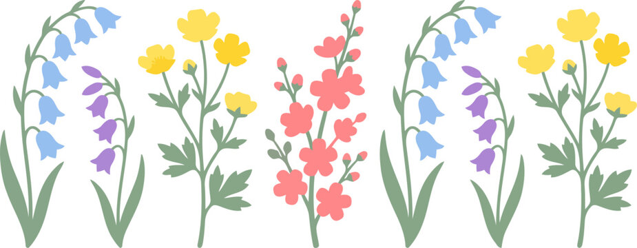 Spring wildflowers bluebells buttercups and foxgloves illustration vector delicate floral design elements.
