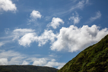 Fototapeta premium 南国の澄んだ青空とダイナミックな積雲（奄美大島）