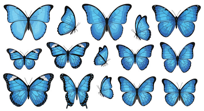 Vibrant blue butterfly wings pattern seamless design.