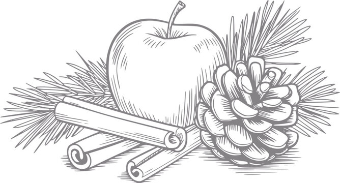 Un dibujo a mano que presenta una manzana fresca, ramas de canela arom&aacute;tica, una pi&ntilde;a de pino y agujas de pino perennes