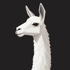 Obraz premium White llama portrait geometric style dark background