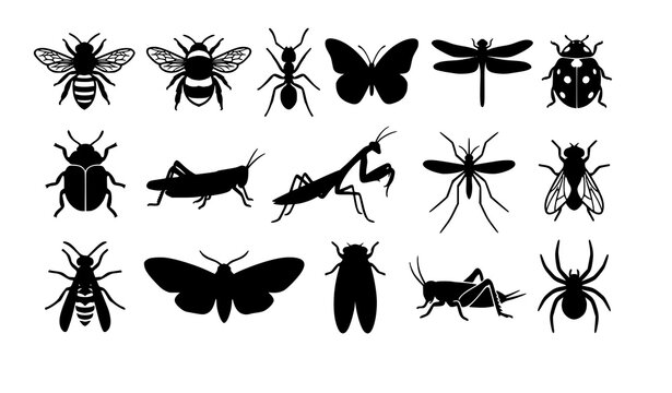 insect, silhouette, vector, bee, ant, butterfly, dragonfly, ladybug, beetle, grasshopper, mantis, mosquito, wasp, moth, fly, cicada, cricket, spider, wildlife, nature, black, collection, editable, iso