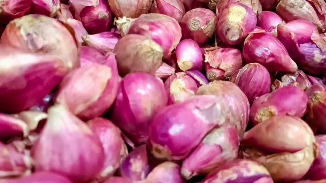 Fresh organic red shallots and purple onions as food ingredients for market cooking.