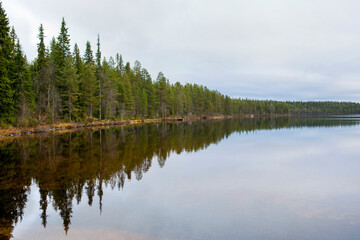Fototapeta premium Calm autumnal landscape in Finland during autumn day.