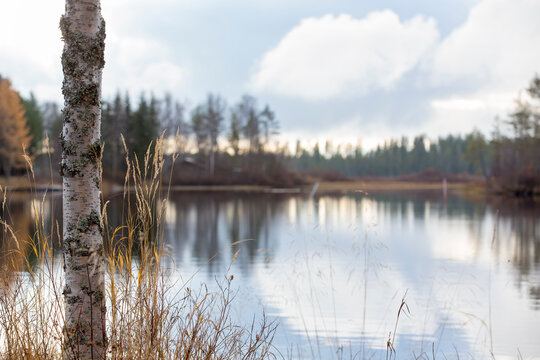 Foggy landscape in Northern Finland.