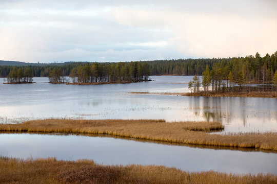 Calm scenery from high point of view.