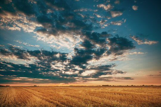 Wide-angle shot of a harvested golden wheat field stretching to the horizon under a dramatic, cloudy sunset sky.