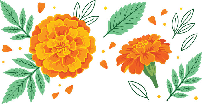 Vibrant orange marigold flower vector element set featuring open blooms, dark green leaves, falling petals, and decorative botanical accents isolated on white background.