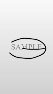 Hand drawn circle stroke animation striking out text alpha channel motion graphic