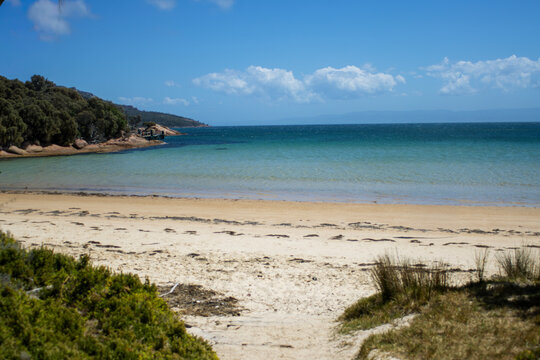 tropical beach in Tasmania