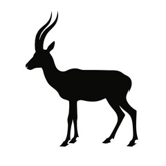 Fototapeta premium Realistic Gazelle Silhouette Vector