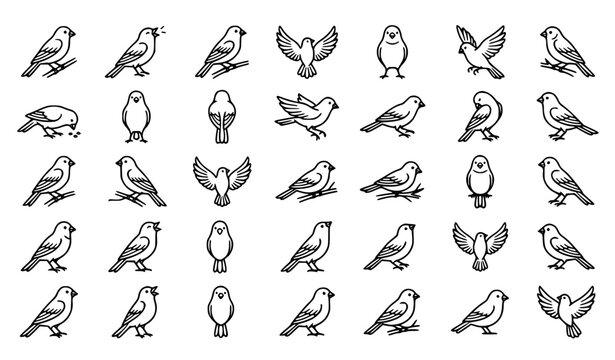 Flying and Perching Bird Outline Vector Icon Set