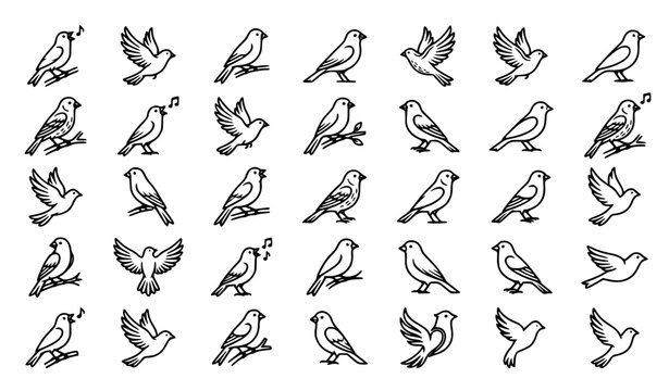Flying and Perching Bird Outline Vector Icon Set