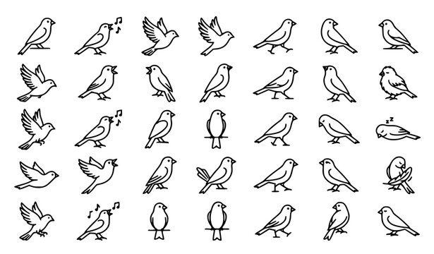 Flying and Perching Bird Outline Vector Icon Set