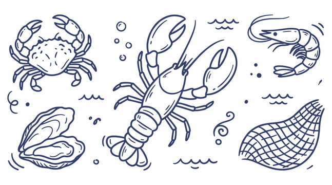 Hand drawn doodle set vector marine seafood with lobster crab shrimp oyster shell and fishing net