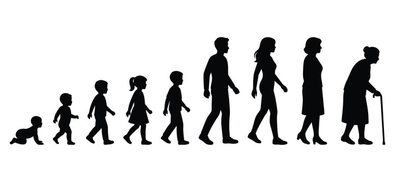 Human life cycle stages from infancy to old age, silhouette vector illustration