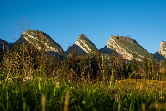 Churfirsten mit Gras im Vordergrund &ndash; markante Bergspitzen im Sarganserland, Ostschweiz