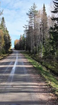 POV shot driving along a wet gravel road through dense pine and birch forest passing a T-junction in rural Swedish autumn countryside.