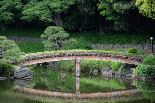 清澄庭園の池に架かる木橋と水面に映る緑が美しい日本庭園の風景