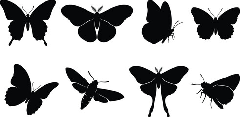 Set of detailed black vector silhouettes of butterflies and moths for nature and wildlife design elements © MdMohsin