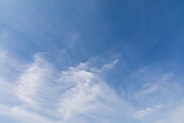 Fototapeta premium White clouds and blue sky