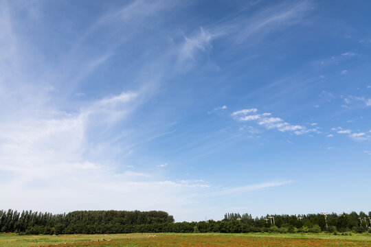 White clouds in the vast sky and the open fields