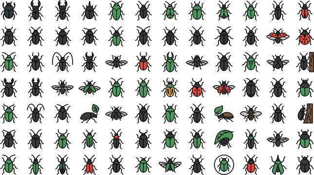 Minimalist beetle collection of vector illustrations