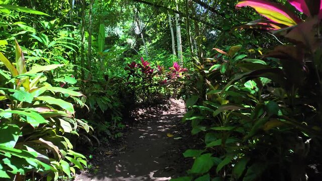 Dirt path through lush jungle foliage at Goa Gajah, Bali