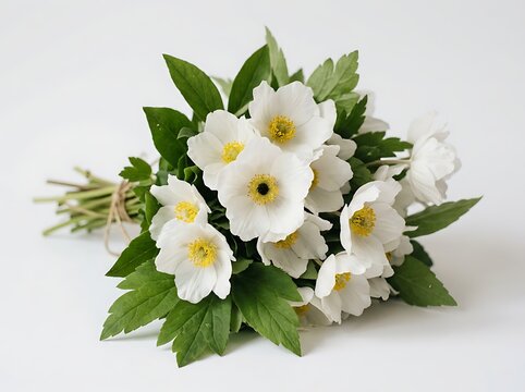 White anemone flowers bouquet on white background for wedding or event decoration
