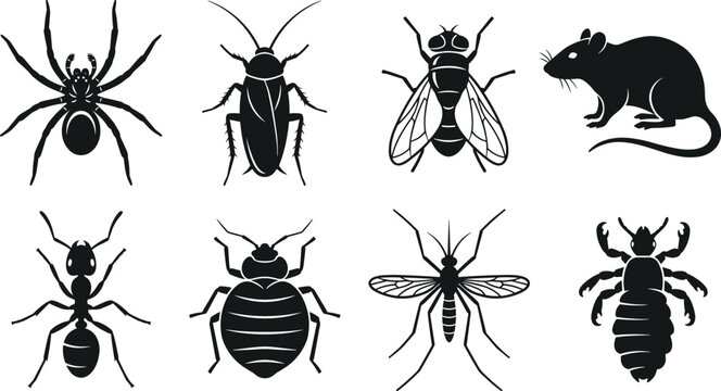 Black Pest Icons Set Featuring Spider Cockroach House Fly Rat Ant Bedbug Mosquito and Louse Silhouettes Isolated On White Background