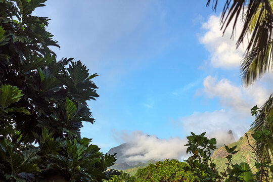 Mont Tohiea sur l'&icirc;le de Mo'orea en Polyn&eacute;sie