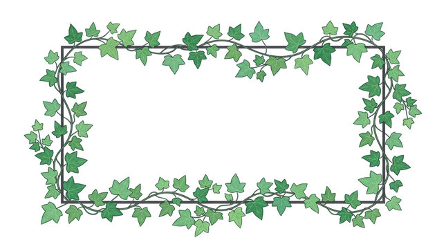Climbing Ivy Leaf Border Frame with Transparent Background | Botanical PNG