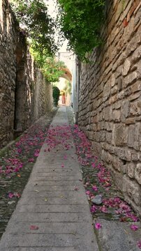 Cervo, liguria, italy. June 22, 2025. Romantic narrow alleyway in the historic italian village of cervo, liguria. Stone walls and a cobblestone path covered with pink bougainvillea petals
