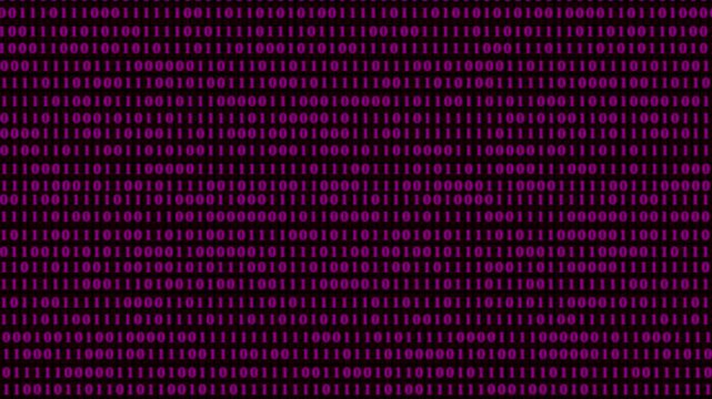 pink binary code fills black computer screen. Rows of zeros and ones create digital pattern. Technology background covers programming and data. Computer code forms abstract texture. Cyber concept.