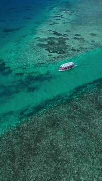 Reef showing visible action, in underwater tropical reef, with reef, clear water, from a aerial view perspective, with blue, green accents, and serene mood, showing the main action and place clearly.