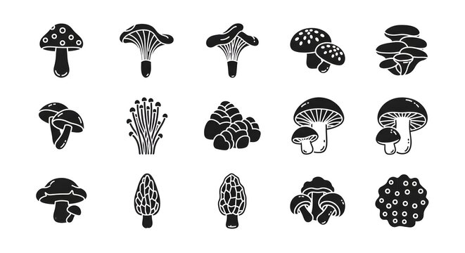 Set of black mushroom icons vector illustration isolated on white background
