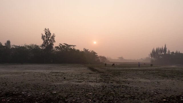 The sun rises on a mild winter morning. A dawn scene in Char Kalatali, Manpura, Bhola district.