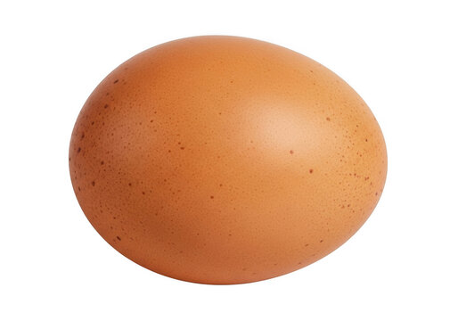 Fresh brown egg isolated on plain background isolated on transparent background