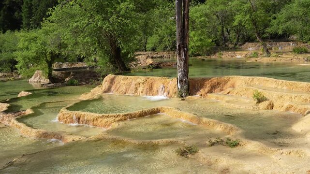 4K Ultra HD Summer Stream Flowing Down Over Travertine Calcified Rock Formations Surrounded by Lush Green Forest in Huanglong Scenic Area, Songpan, Aba, Sichuan, China
