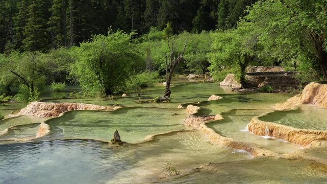 Summer Stream Flowing Down Over Travertine Calcified Rock Formations Surrounded by Lush Green Forest in Huanglong Scenic Area, Songpan, Aba, Sichuan, China