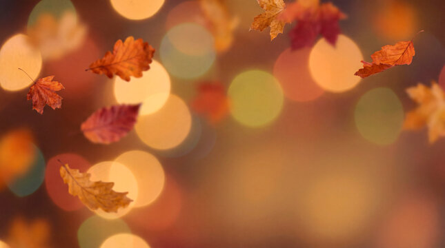 Falling autumn leaves with warm golden bokeh lights for cozy Thanksgiving seasonal background