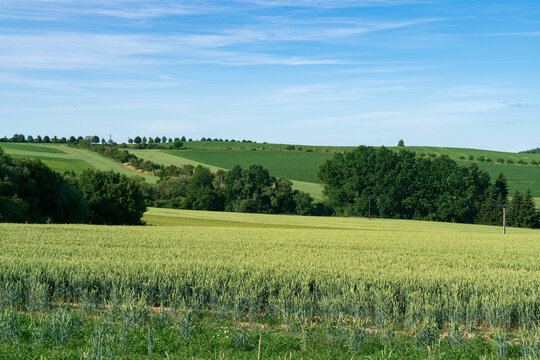 The countryside of the Czech Republic in the summer