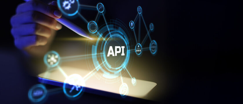 API Application Programming Interface for Software Development and System Integration Workflows